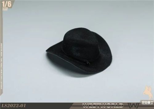 Long Shan Jin Shu Westworld Western Paradise, Man in Black #8
