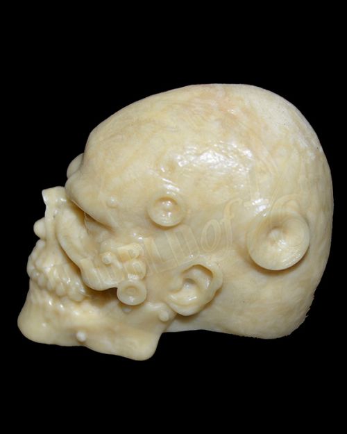World of One Sixth Originals UNPAINTED Cyber Skull Head Sculpt #3