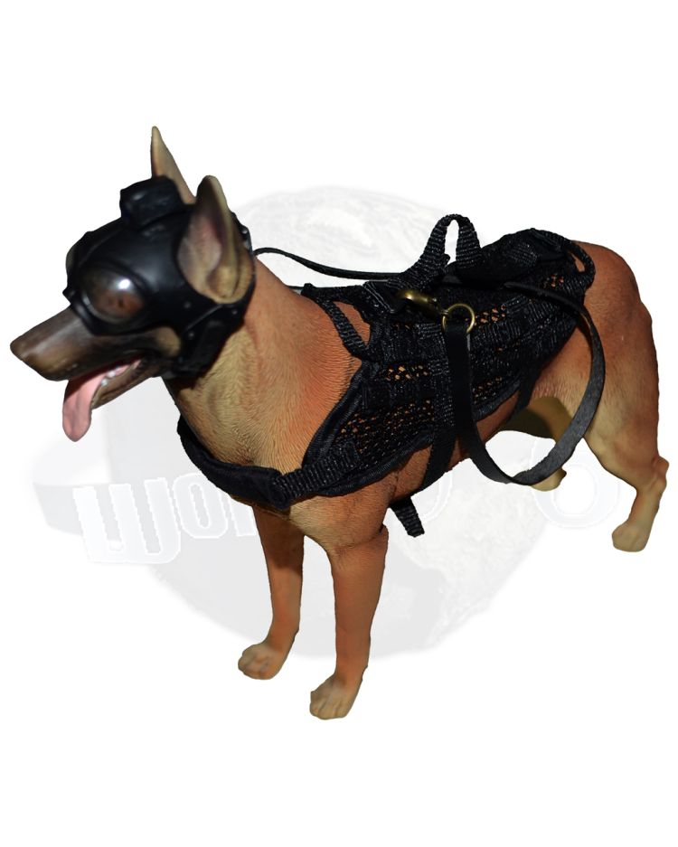 Mini Times SEAL Team Navy Special Forces: Belgian Malinois (Broken, Repaired)