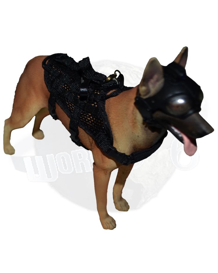 Mini Times SEAL Team Navy Special Forces: Belgian Malinois (Broken, Repaired) #2