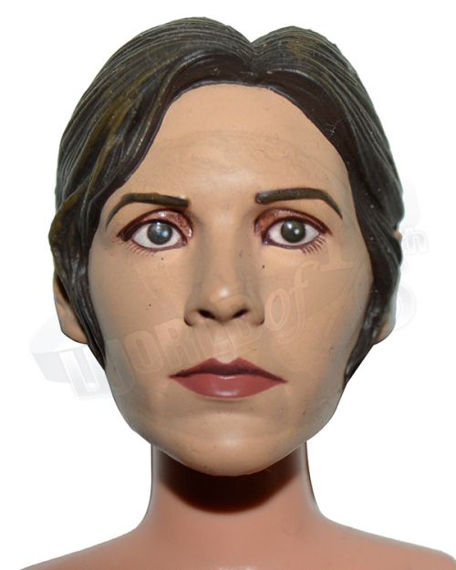 Sideshow Collectibles Star Wars Princess Leia Head Sculpt & Figure Body