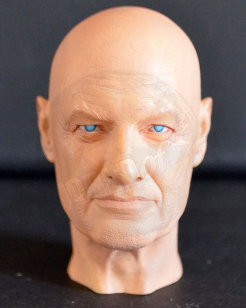 Lost John Locke Head Sculpt (Partially Painted)