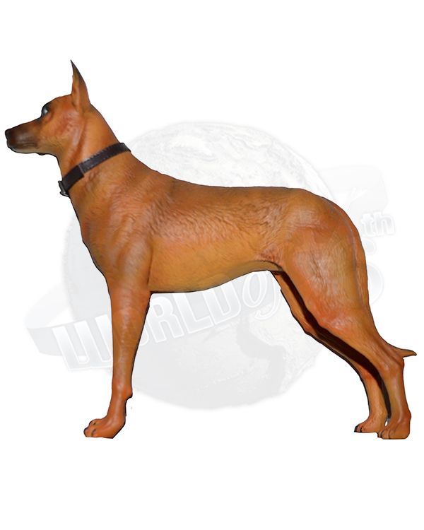 X-Studio Faleut Cooper Howard: Malinois Dog #2