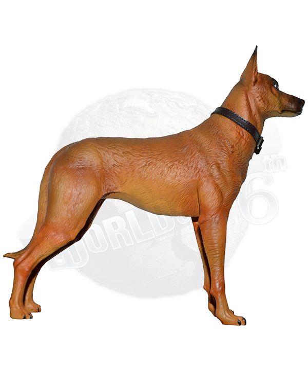 X-Studio Faleut Cooper Howard: Malinois Dog #3